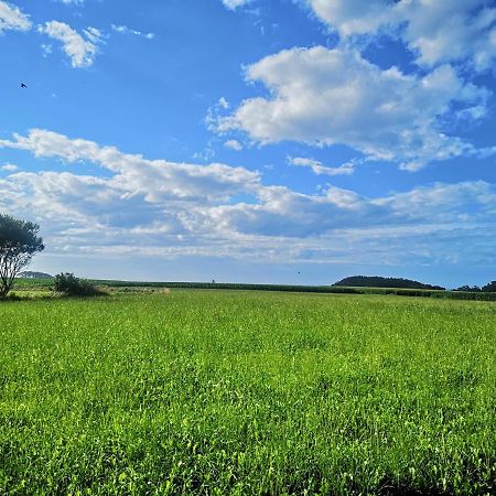 Pensjonat Casona Naviega Navia Zewnętrze zdjęcie